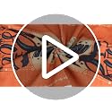 Halloween Kitchen Hand Towels Set - Pumpkin Cat Bat Boo Novelty, 6 Pcs, Novel