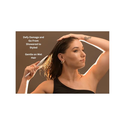 Skiennix Professional Wet & Dry Detangling Hair Brush - Smooth Steel Bristles for All Hair Types