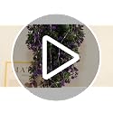 Artificial Black Hanging Flowers with Lights - Halloween Gothic Decor, 2 Pack - Variation: Black Rose