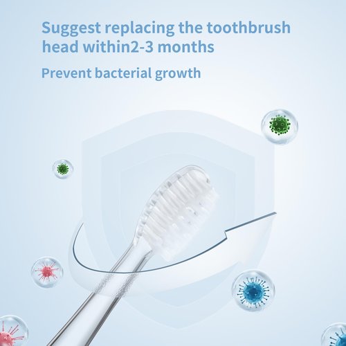 KOPBTBOY Kids Toothbrush Replacement Heads Compatible with Seago SG-513/SG-977/EK6, Compatible with Dada-Tech-BB1/977/K6,Compatible with Brush-Baby WildOnes/KIDZSONIC(18-36 Month)