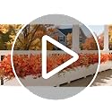 Fall Artificial Flower Bundles - UV Resistant Faux Mums Eucalyptus for Outdoor & Indoor Decor - Fall A