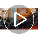 Black Halloween Garland 9FT Norfolk Pine for Mantle & Party Decor - Variation B_9FT