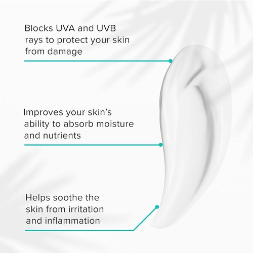 ClarityRx Skin Defense SPF 50 | Natural Plant-Based Moisturizing Sunscreen with Zinc & Hyaluronic Acid (2 Oz)