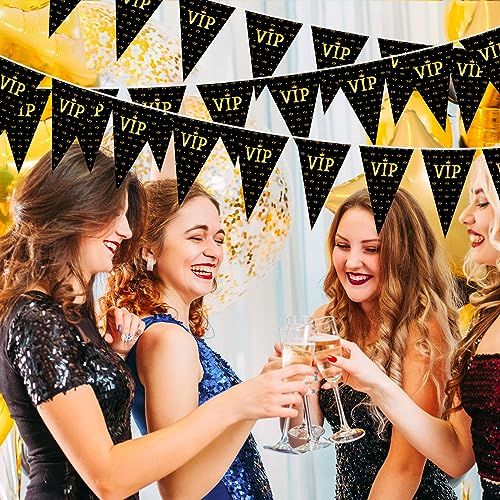 VIP Pennant Banners - Movie Night Party Decorations, 49 ft Long