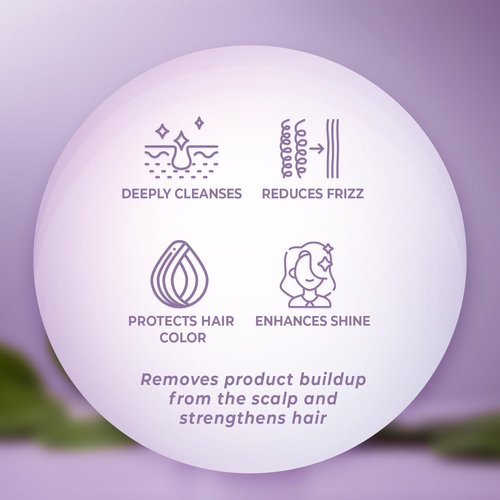 INFINA ESSENTIALS Purple Shampoo & Conditioner Set - Sulfate-Free, Nourishing Coconut Oil & Aloe Vera - 16 fl oz Each