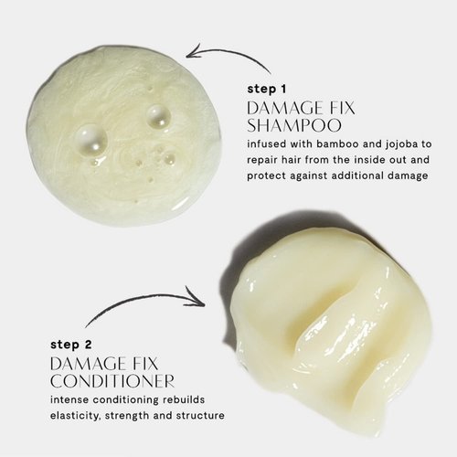 Prive Damage Fix Conditioner - Repairs Dry and Over-Processed Hair from Within Protects Future Additional (12 Oz)