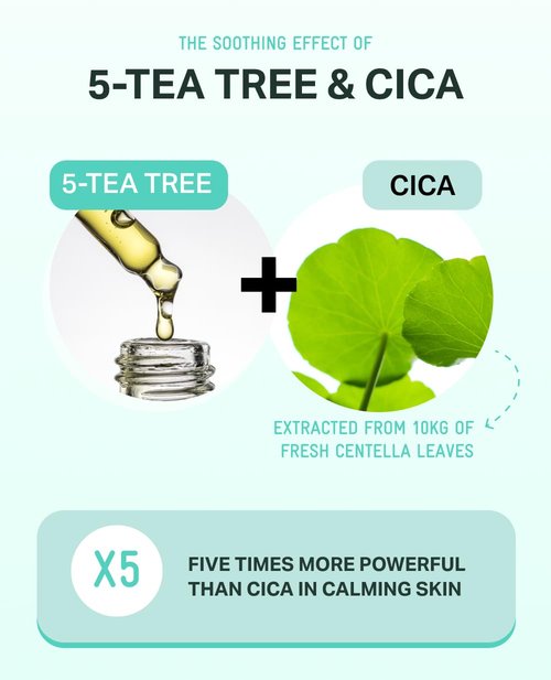 BRING GREEN Tea Tree Cica Soothing Cream Plus 100ml Korean Skin care, calming and soothing, moisturizer for skin, facial cream, trouble care, Blackhead Removing Pore care (Pack of 1)