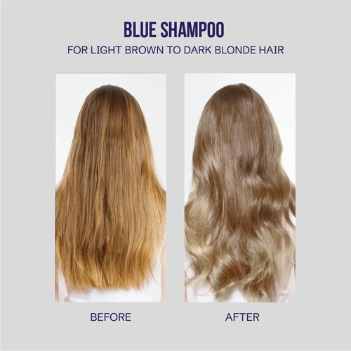 OLIGO PROFESSIONNEL - Blacklight Blue Shampoo - Sulfate-Free Formula for Blonde & Color Treated Hair - 8.5oz