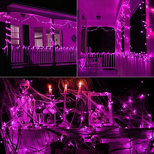Purple Halloween String Lights 75ft 300 Mini Bulbs Incandescent Indoor Outdoor Decoration - Variation of Purple / 75ft