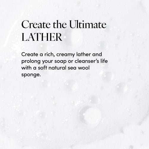LATHER - Natural Sea Wool Sponge, 5-6" - Organic Exfoliating Body Scrubber - Soft, Gentle Cleansing - Hypoallergenic - All Skin Types - Florida Natural Loofah Sponge - Cruelty Free - Beauty & Skincare