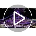 GORKAY Antique Halloween Spider Web Lights - 16.4Ft 550 LED Outdoor Indoor Decor