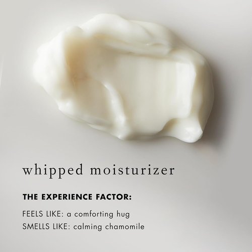 Bioelements Barrier Fix Daily Hydrator - Clinical Face Moisturizer for Sensitive Skin - 1.7 fl oz - Vegan & Gluten Free