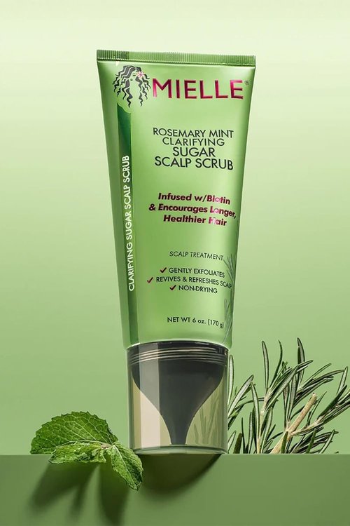 Mielle Organics Rosemary & Mint Scalp Scrub - Gentle Exfoliating Pre-Shampoo Treatment for Dry Scalp - 6 Fl Oz