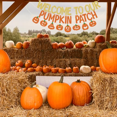 Fall Classroom Banner - Welcome to Our Pumpkin Patch Decoration