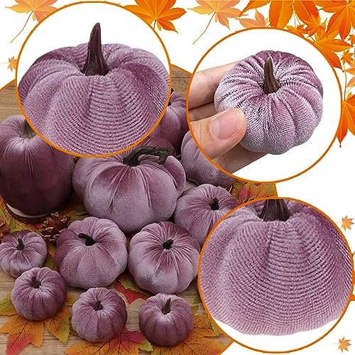 Purple Velvet Pumpkins Set of 16 Fall Halloween Thanksgiving Decor
