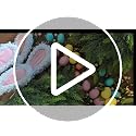Artificial Cypress Bunny Topiary Set of 2 - Green Outdoor & Indoor Decor