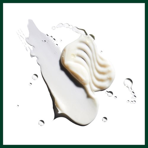 Aveda Nutriplenish Conditioner - Deep Moisture for Medium to Thick Dry Hair | Organic Pomegranate Oil & Mango Butter
