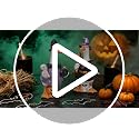 Halloween Goose Statue Black Resin Witch Skull Decor - 8.8"