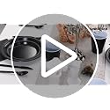 Black Disposable Plates for Party - 350PCS, Food-Grade Plastic, Variation: Black