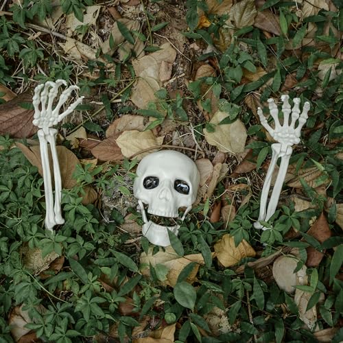 Halloween Zombie Skeleton Arm Stakes with Skull - 6 Pcs Outdoor Lawn Decorations