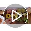 Autumn Decor Set - 15 PCS Artificial Pumpkin Fall & Thanksgiving Decor