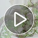 71-Inch Bendable Jungle Vine Garland with Lifelike Greenery for Decorations