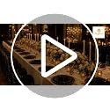 Black Plastic Dinnerware Set - 150Pcs Disposable Plates & Gold Cutlery for Party