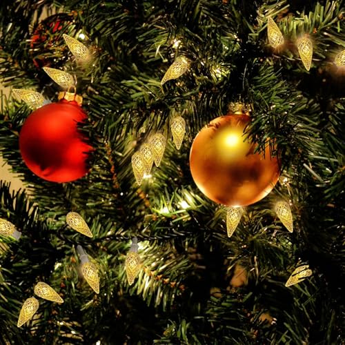 Anycosy Battery-Powered Indoor Outdoor String Lights - Warm White, 50 C3 LEDs
