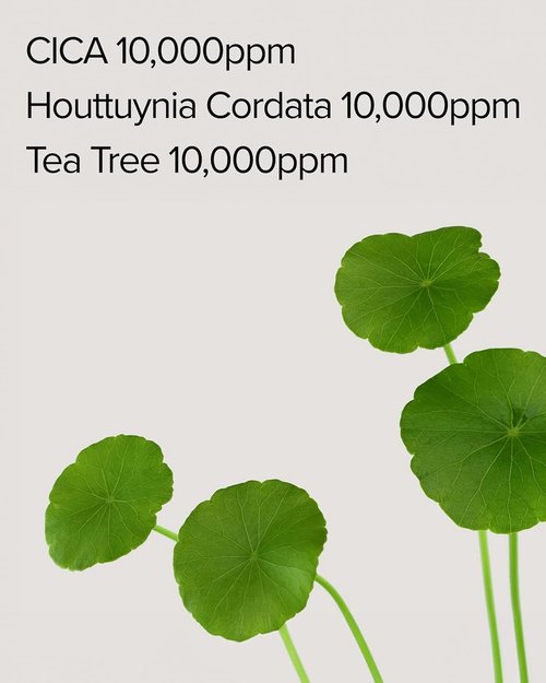 Mary&May CICA Houttuynia Tea Tree Calming Mask - Soothing & Moisturizing Sheet Masks | 30 Hypoallergenic Sheets