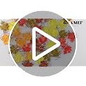 Autumn Maple Leaf Ornaments Set - 40 Fall Hanging Decorations for Thanksgiving & Halloween