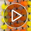 Red Woolen Marigold Garland - Artificial Flower Decor for Indian Weddings & Festivals - Pack of 5