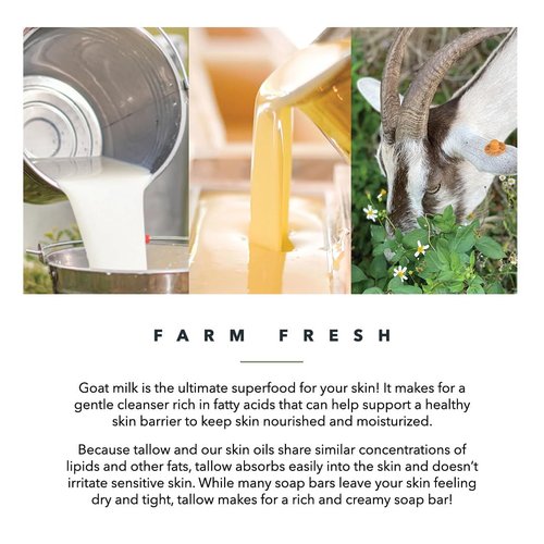Pretty farm girl Milk + Honey Soap Bar - Fragrance Free - Handmade - Sensitive Skin - Tallow & Goat Milk.
