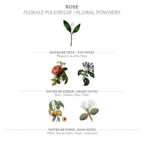 Panier des Sens - Rose Hand & Body Lotion for Dry Skin - Hydrating Cream with Shea Butter & Olive Oil - 8.45 Fl Oz