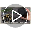 Halloween Pumpkin Decor Set - Black & Gold Resin Pumpkins with Spider Web Ghost Bat E