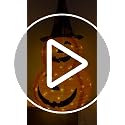 3FT Prelit Halloween Pumpkin Light with 50 LEDs, Waterproof Outdoor Decor