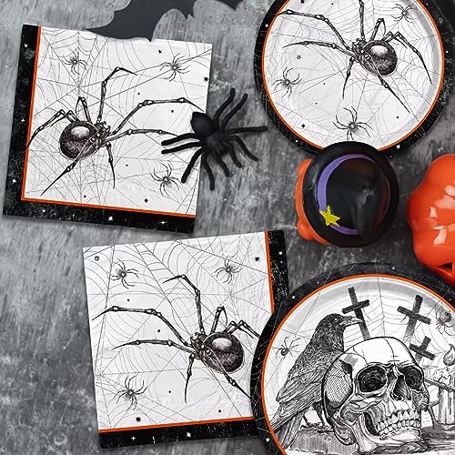 Halloween Spider Webs Party Supplies Set for 50 Guests with Plates & Napkins