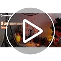 Green & Orange Halloween Spooky Tree Lighted Decor with 3D Spider Base