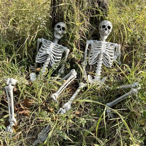 5.4Ft Halloween Skeleton with Movable Joints - Life Size Human Bones for Indoor Outdoor Decor