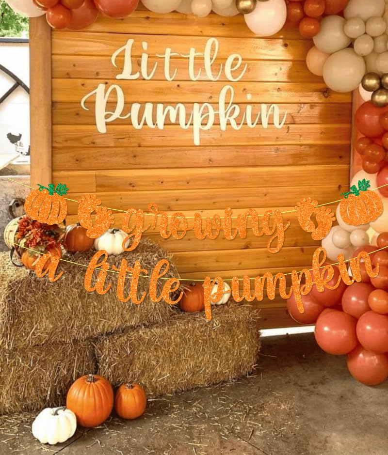 Growing a Little Pumpkin Banner Baby Shower Decorations Fall Halloween Thanksgiving