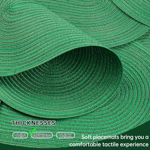 Oval Woven Placemats Set of 8 - Green Shine Braided Dining Table Mats