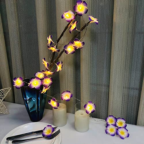 Hawaiian Plumeria String Light - Purple Foam Frangipani Fairy Lights for Garden & Wedding