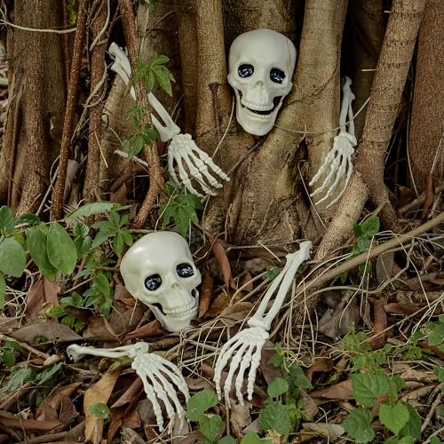 Halloween Zombie Skeleton Arm Stakes with Skull - 6 Pcs Outdoor Lawn Decorations