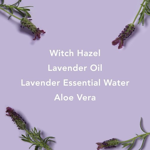 Mario Badescu Witch Hazel Facial Toner - Alcohol-Free, Lavender & Aloe Vera, 8 Fl Oz for Aging Skin