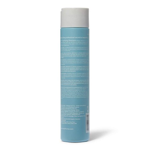 Ion Clarifying Shampoo - Removes Buildup & Residue | Vegan & Safe for Chemically Treated Hair