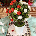 Wonderland Party Decor Topiary Roses Tree Centerpiece - 2 Pcs