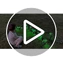 Green Light Up Halloween Giant Spider - 8 Modes, 80-Inch Wide Yard Decor
