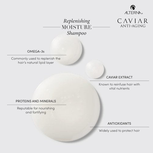 Alterna CAVIAR Anti-Aging Replenishing Moisture Shampoo - Hydrates & Restores Dry, Brittle Hair | Sulfate Free