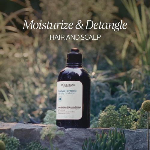 L'Occitane Aromachologie Conditioner - Purifying Freshness Formula | 16.90 Fl. Oz