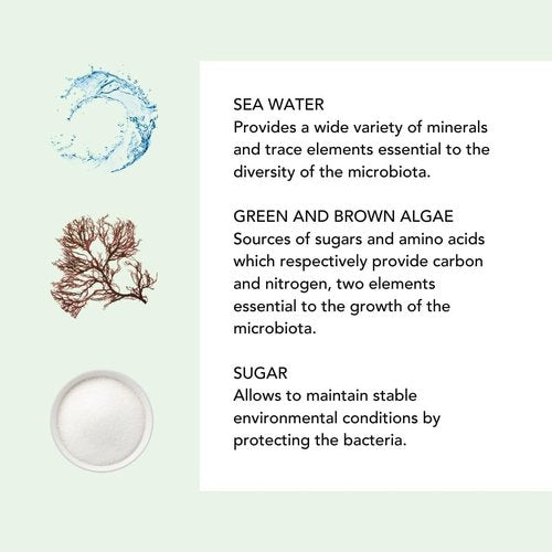 Lierac Cleansing Milk - Nourishing Face Makeup Remover & Hydrating Cleanser | 200ml