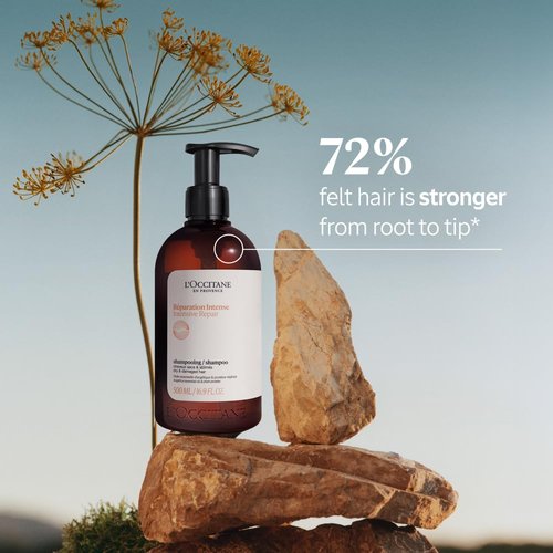 L'Occitane Intensive Repair Shampoo - Revitalize Dry, Damaged Hair | Silicone-Free & Vegan Formula